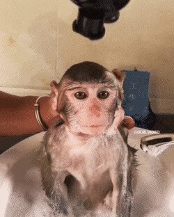 не забываем про водные процедуры
