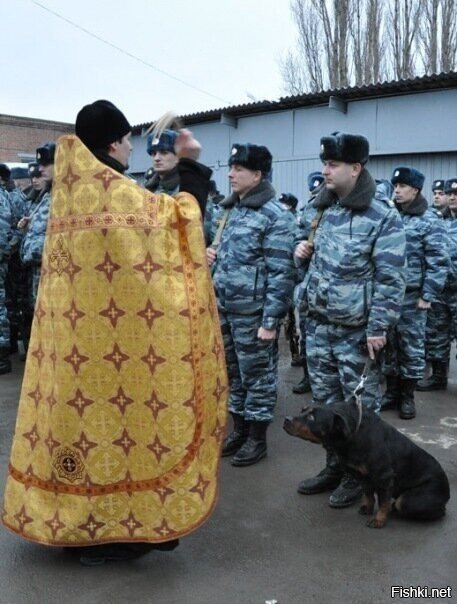 Солянка
