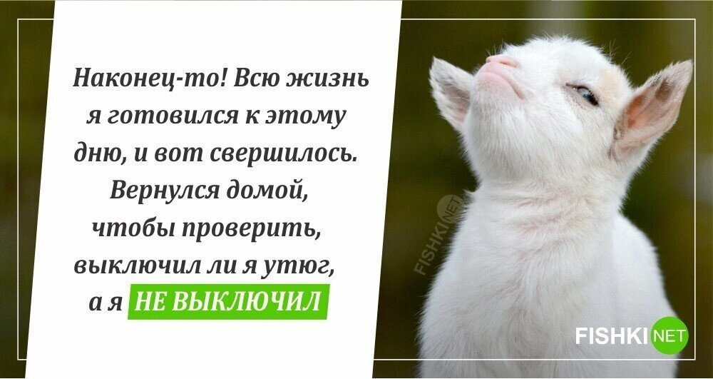 Свершилось!