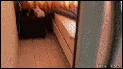 Когда решил прилечь