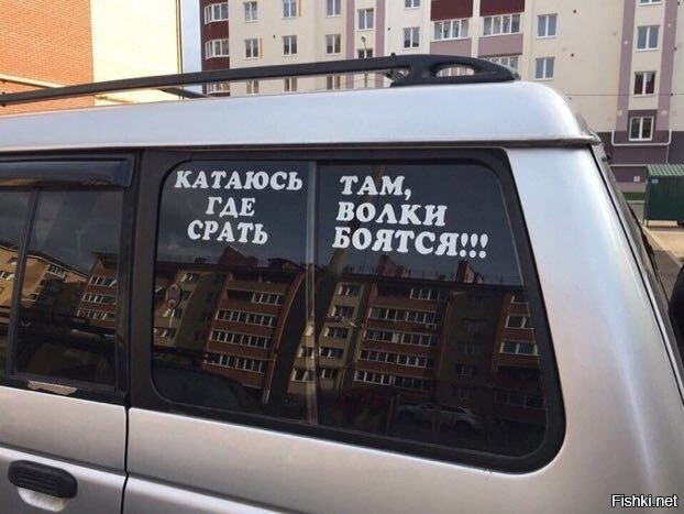 Нужен мэм про дамочек и кота