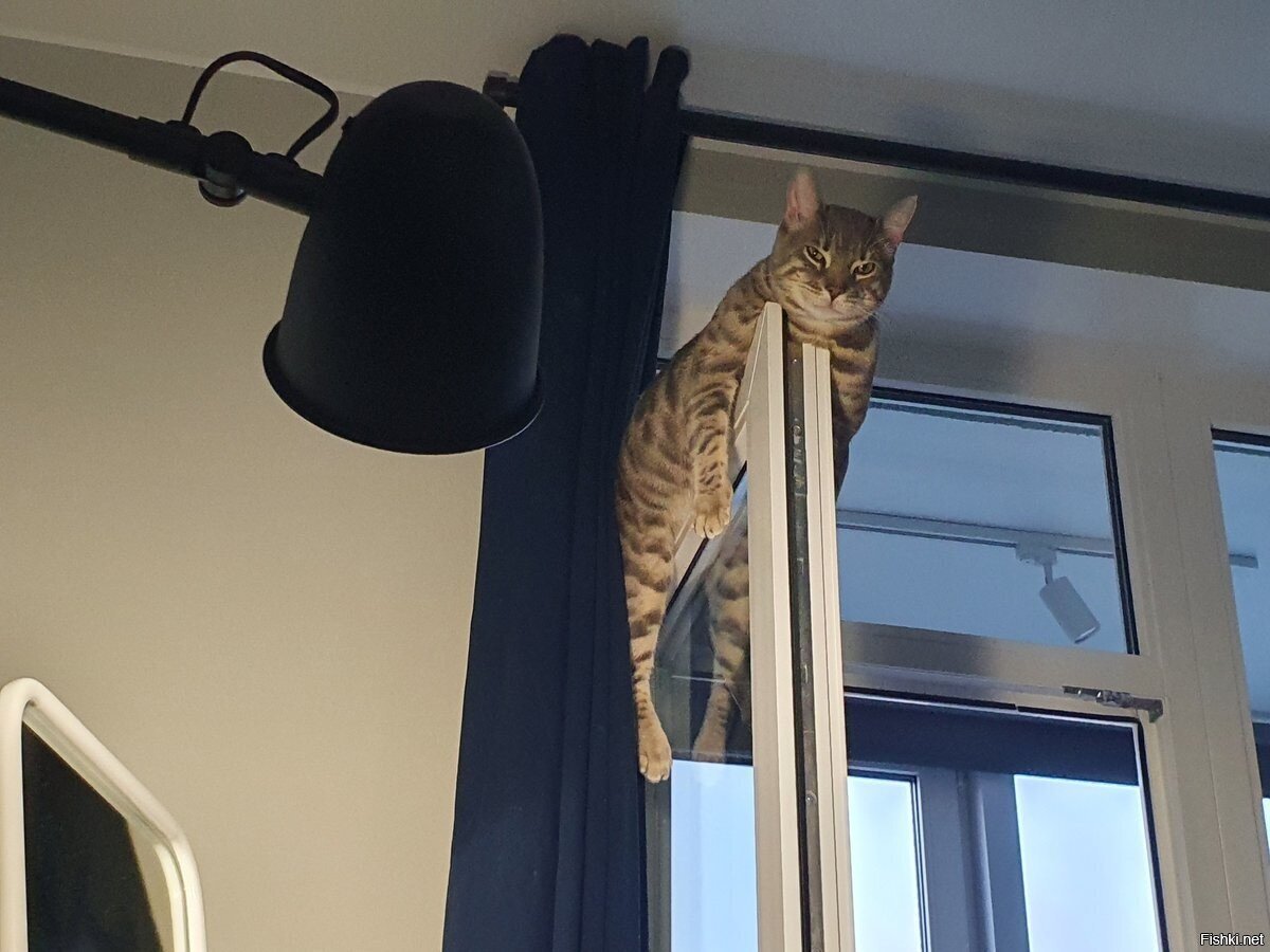 главное удобно
