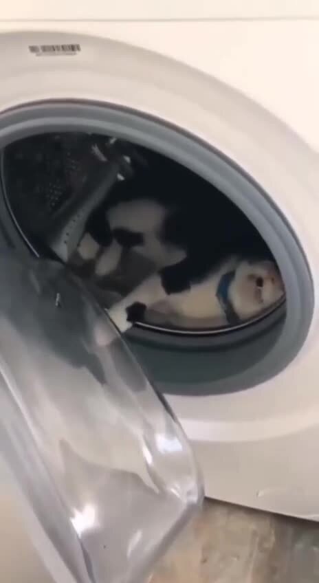 Спокойно ночи всем