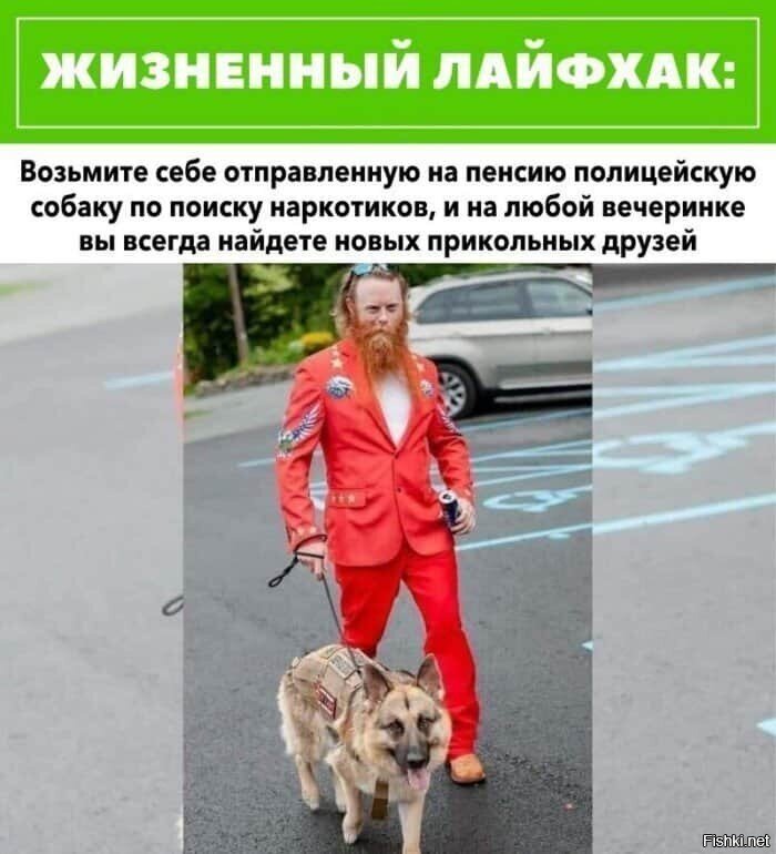 Жизненный лайфхак это примерно как дешёвый лоукостер