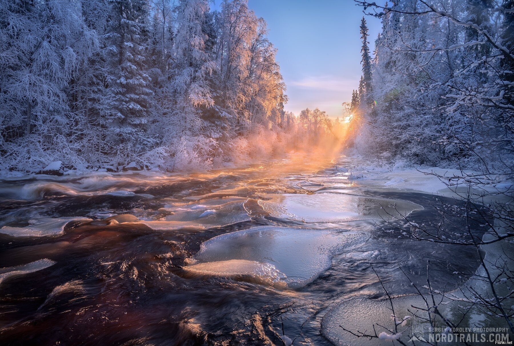 Солянка