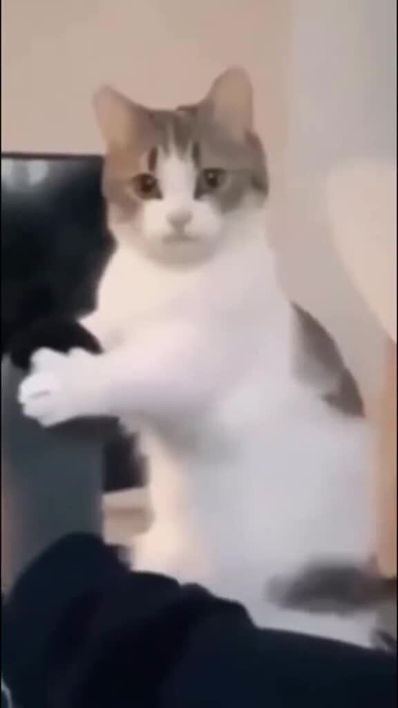 Оксана, ролик для тебя