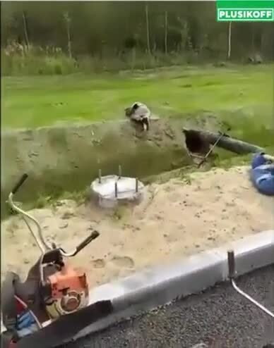 Мертвые с косами