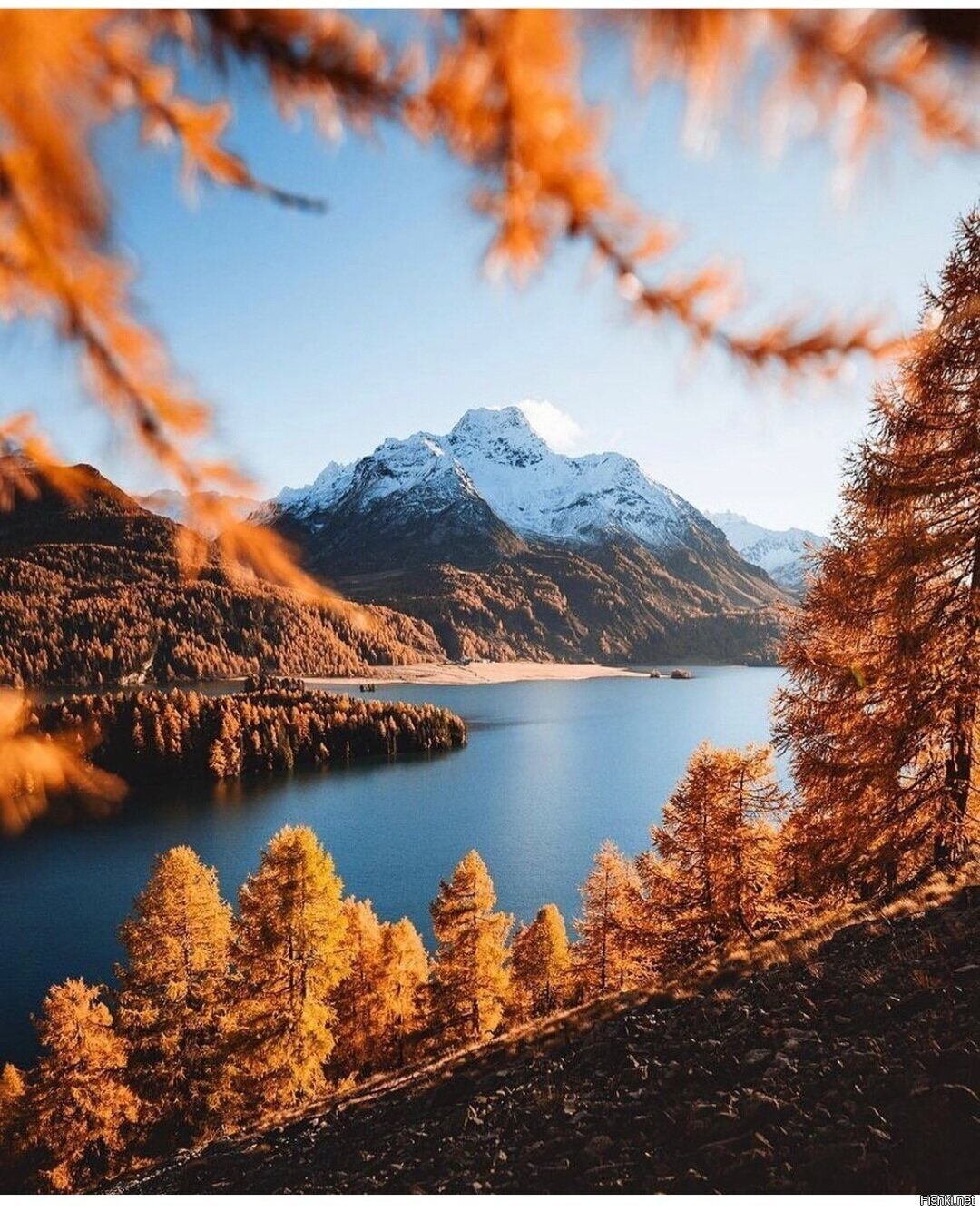 Солянка