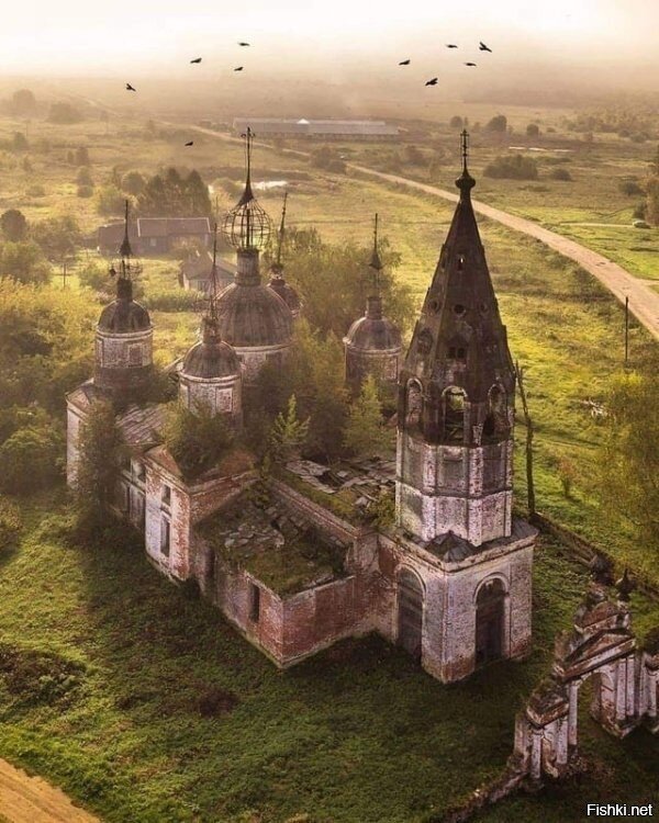 Солянка