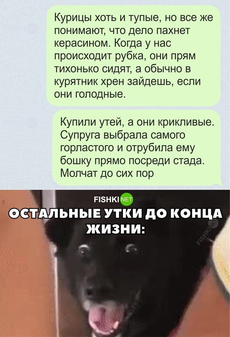 Жестоко