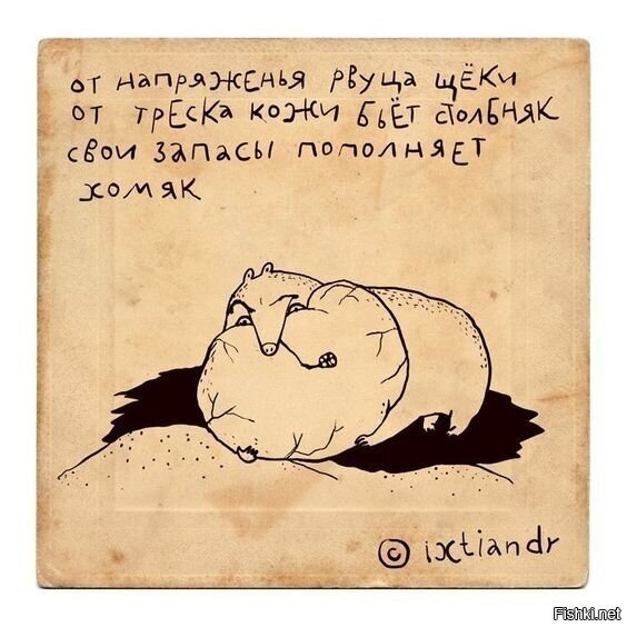 Солянка