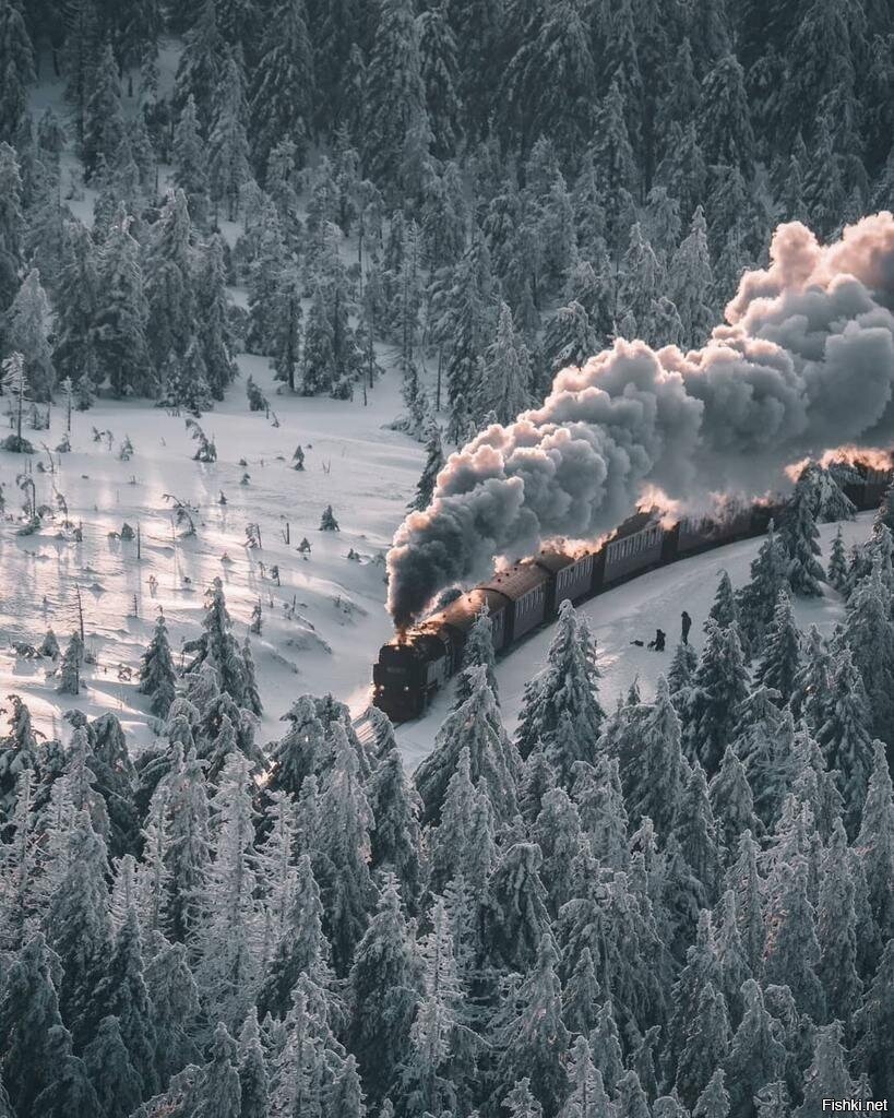 Солянка