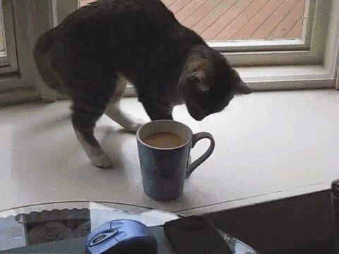 Так себе кофе