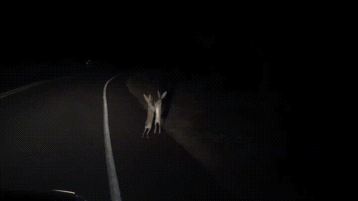 - Не, подожду, а то и мне достанется