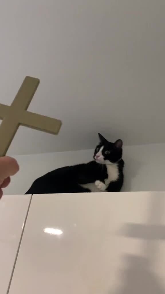Изгоняющий котэ