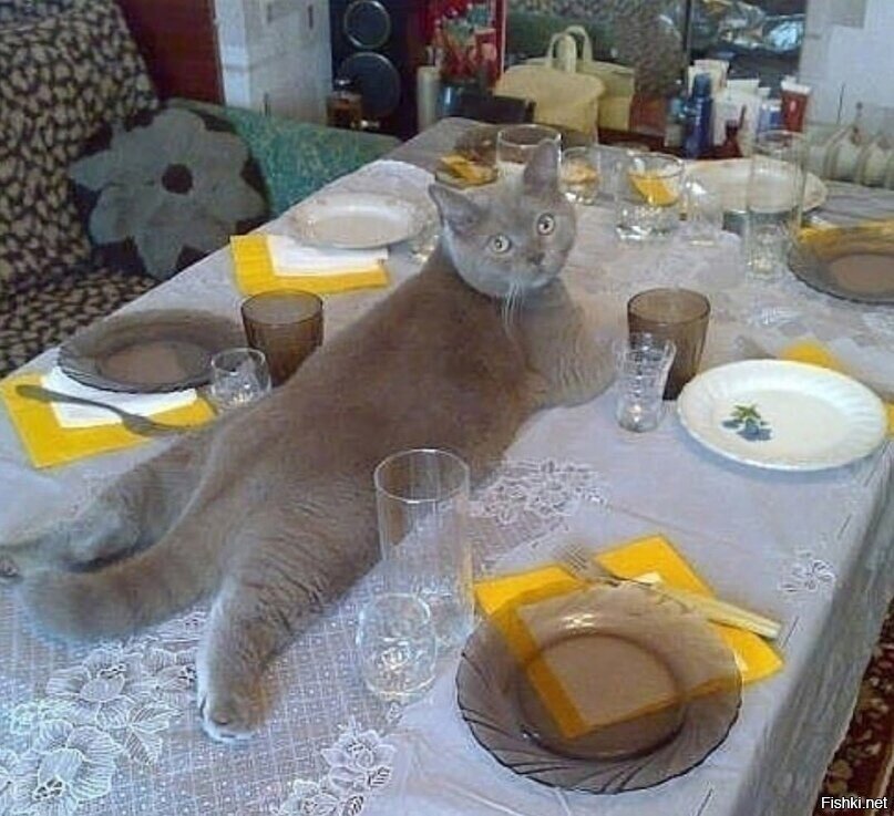 Чего