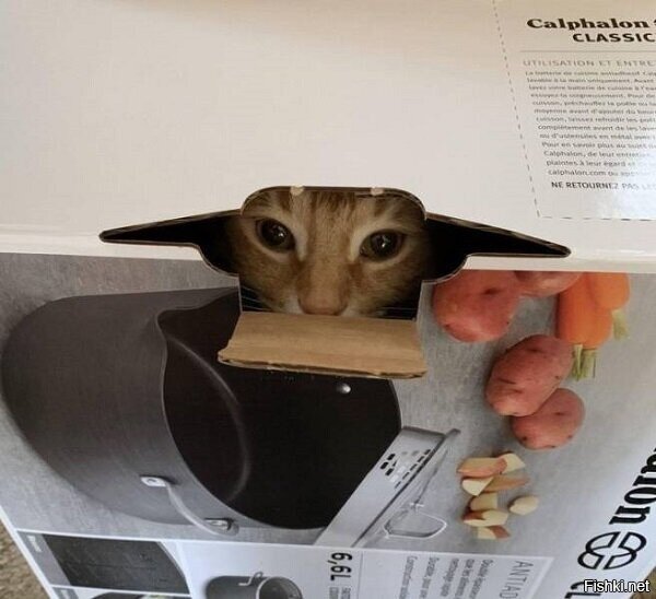 Солянка