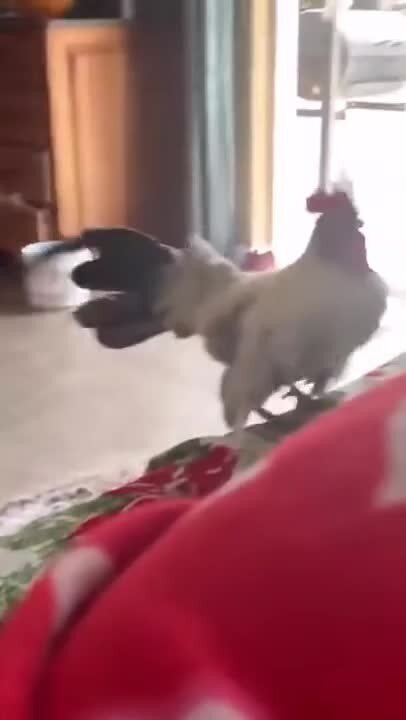 И так каждое утро