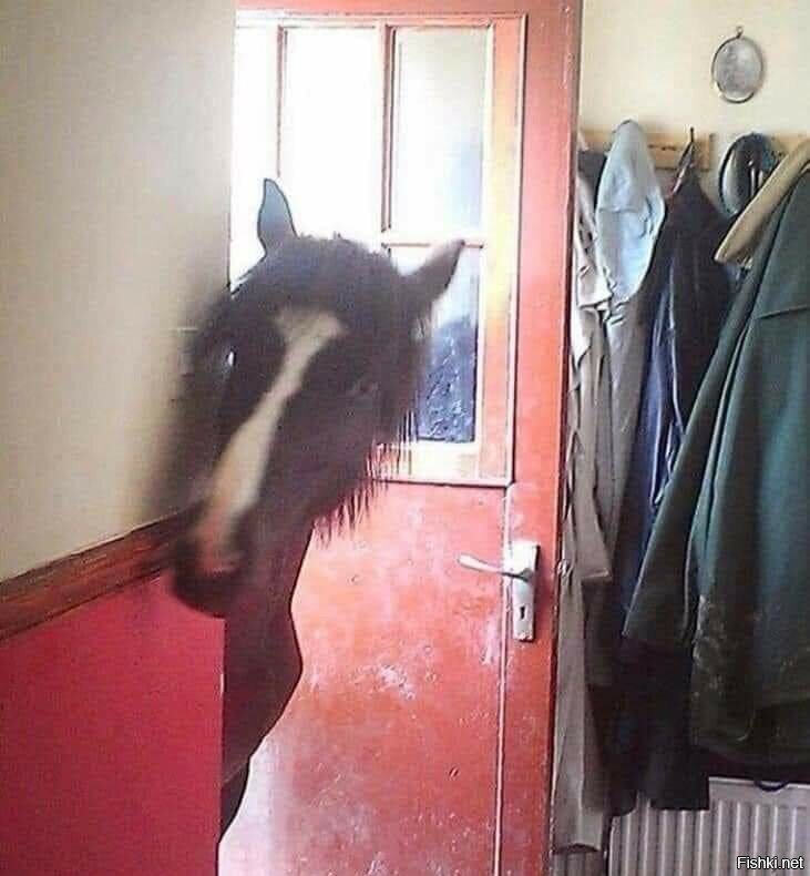 псс