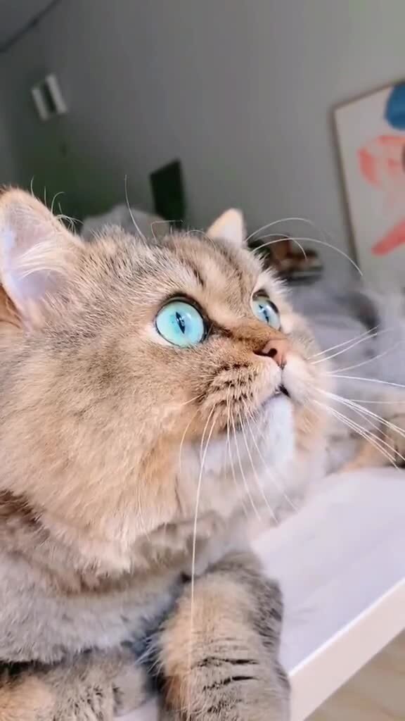 Закоратило)