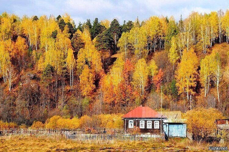 Солянка