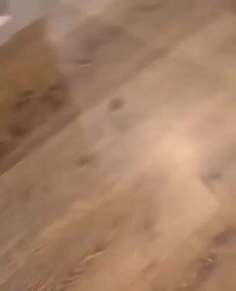 Что за шайтан машина