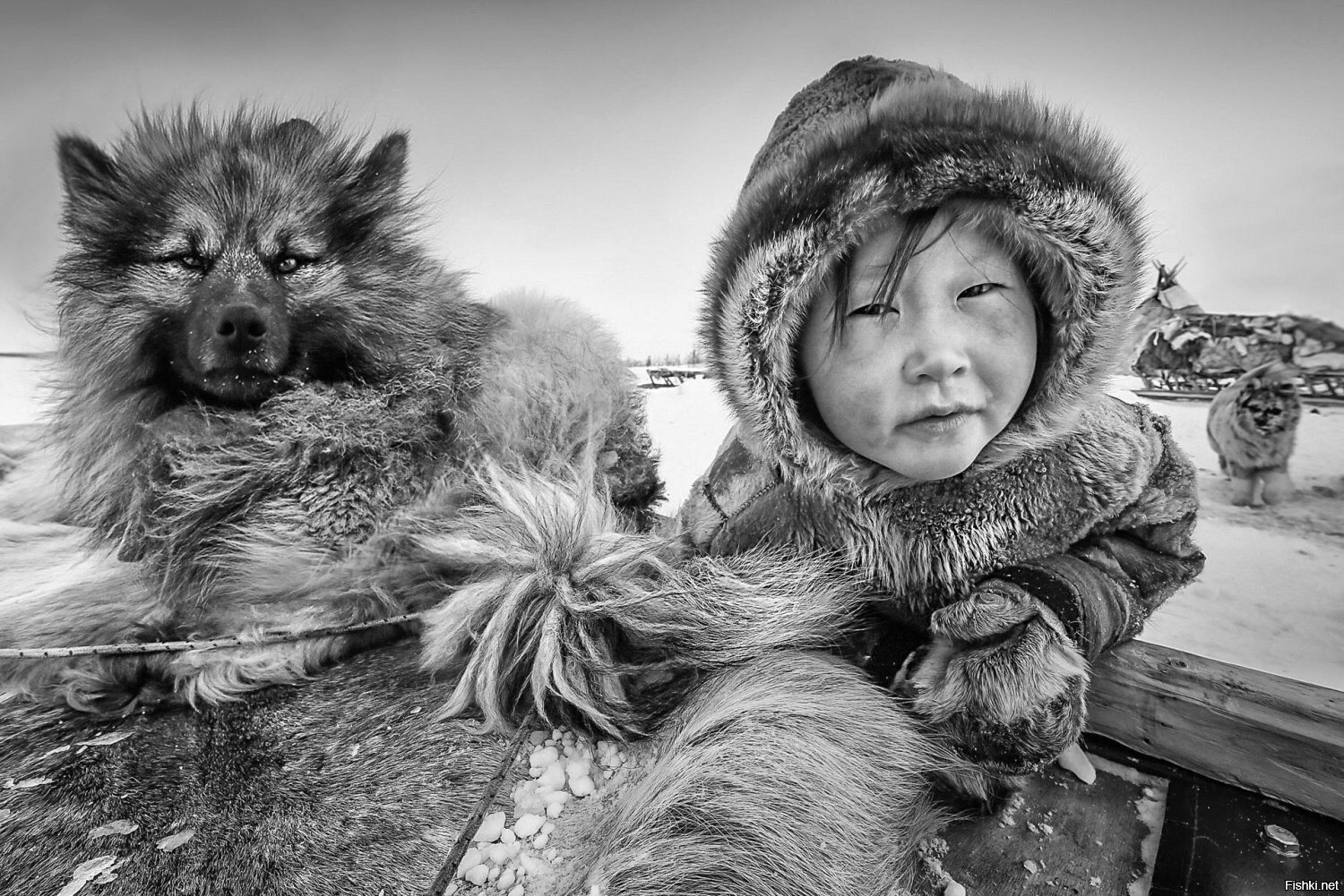 Солянка