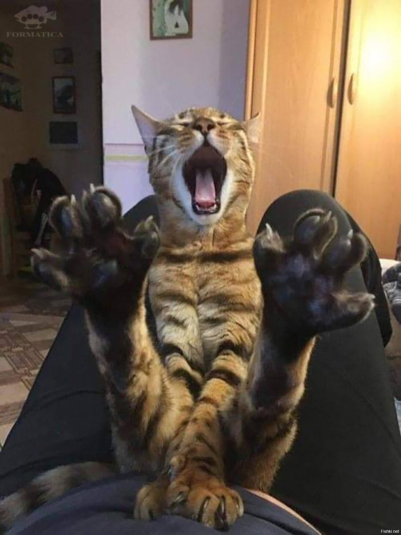 Солянка