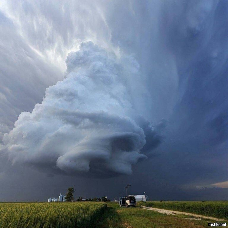Солянка
