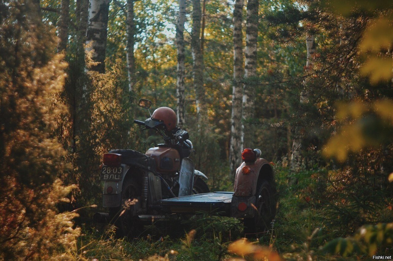Солянка
