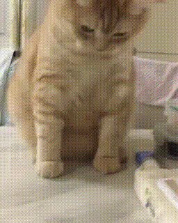 Р-реактивный