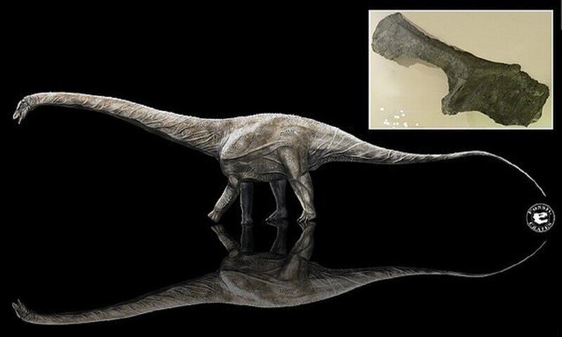 Ученые нашли самого большого динозавра