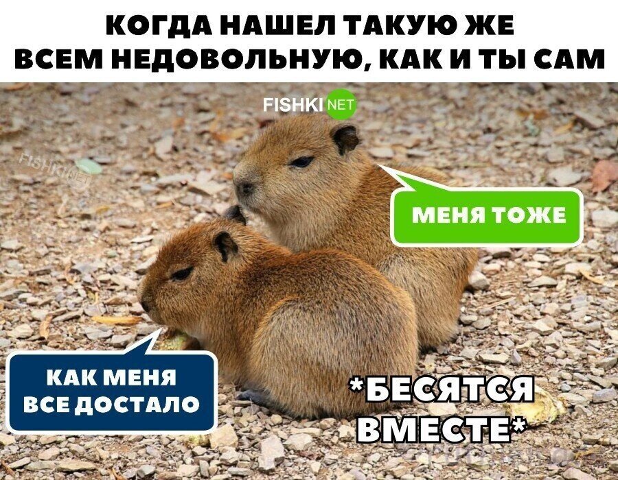 Идеальная пара