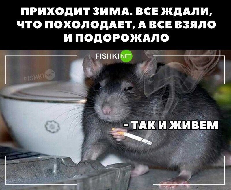 Так и живём