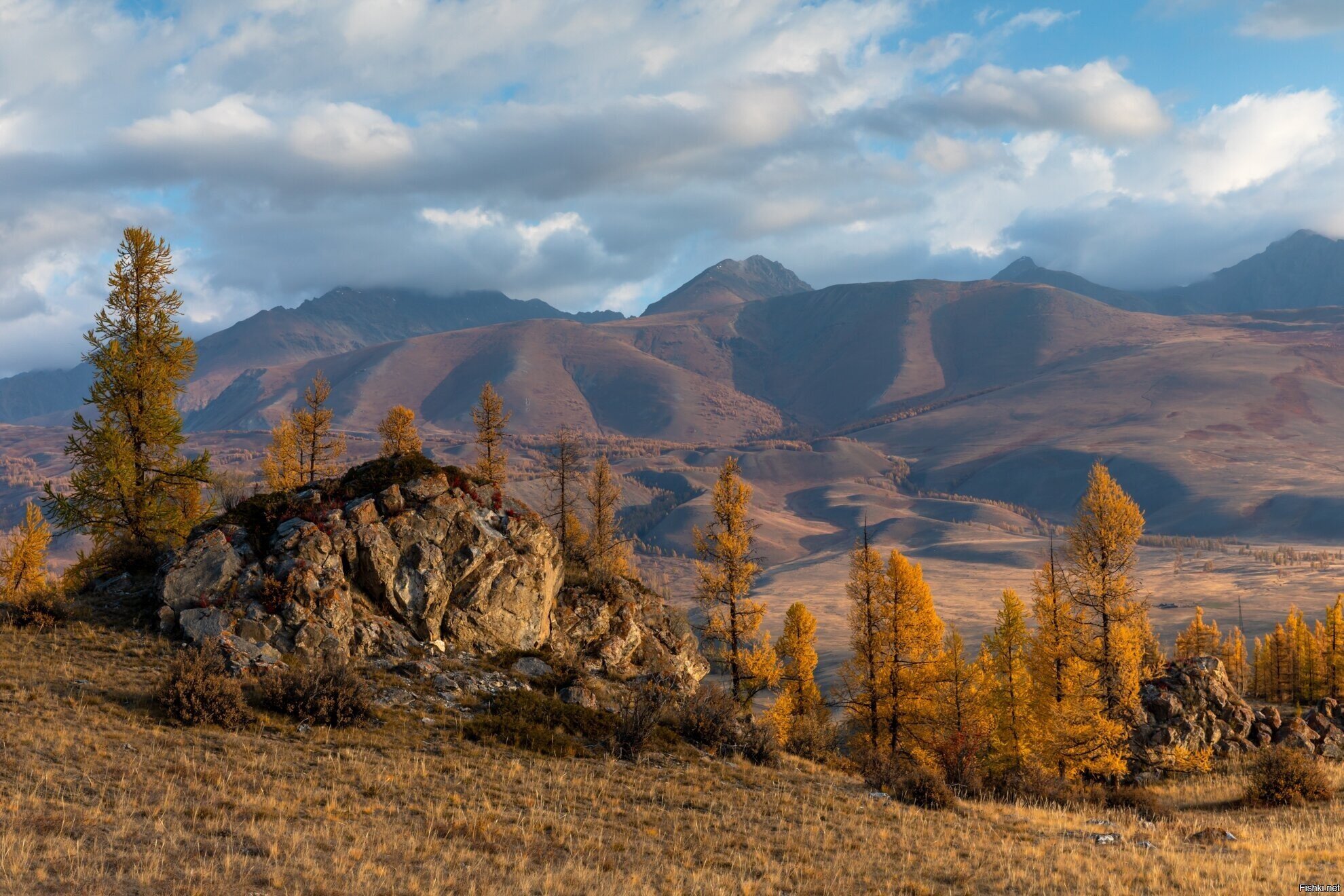 Солянка