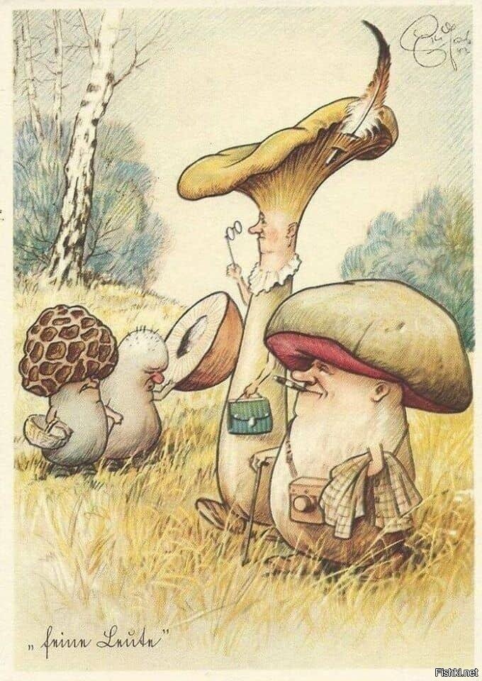 Солянка