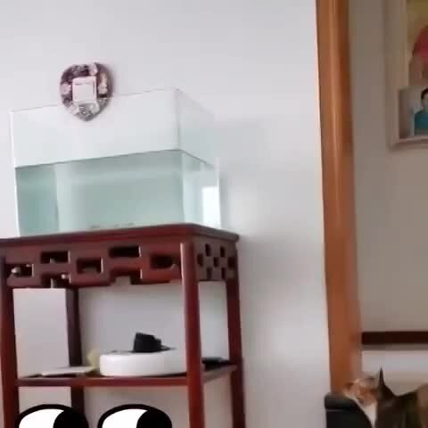 Не рассчитал ))