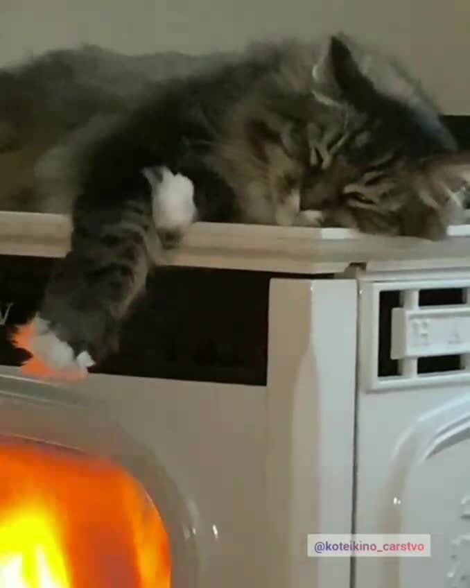 Спокойной ночи