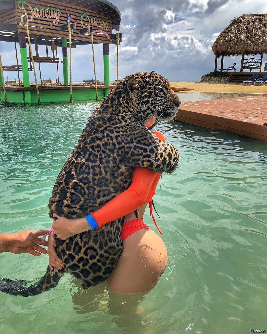 Солянка