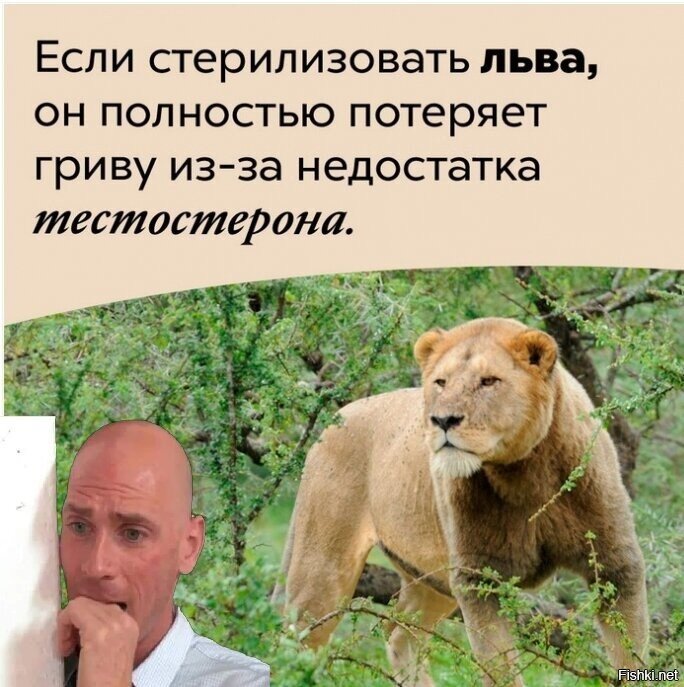 Правда или нет