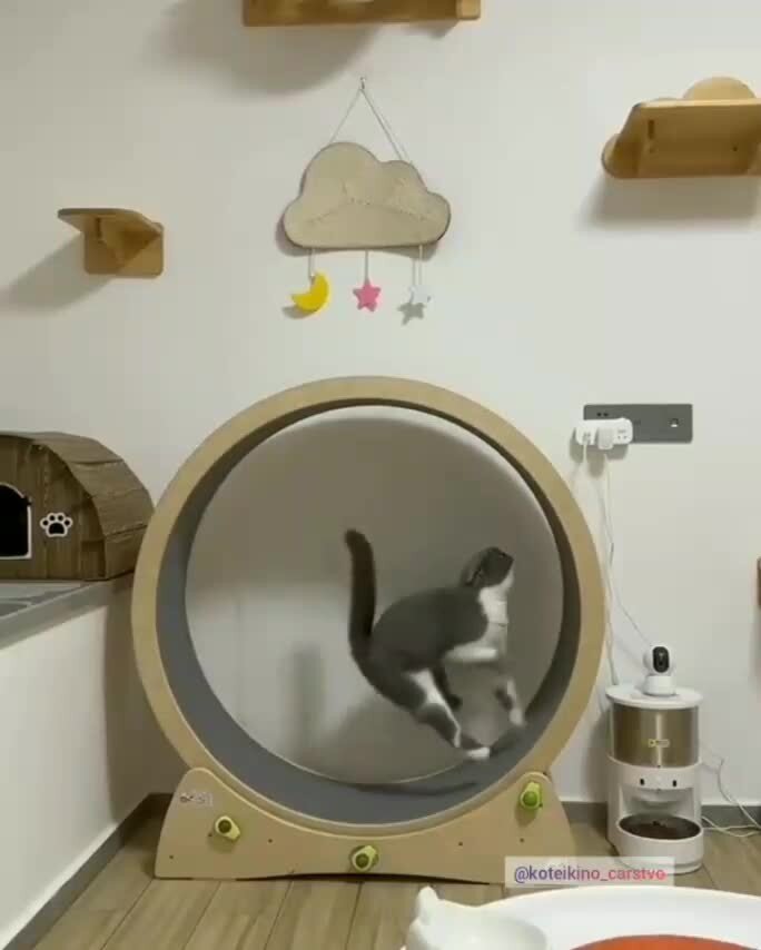 Чем бы заняться