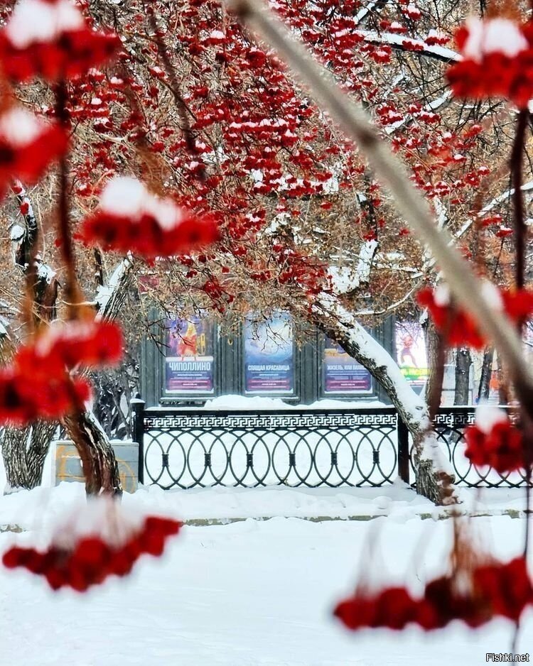 Солянка