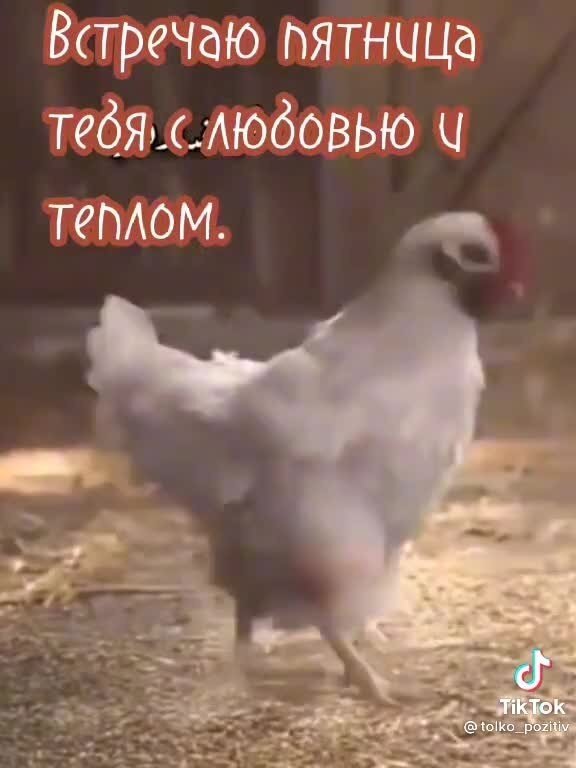 Особенно с курицей смешно )))