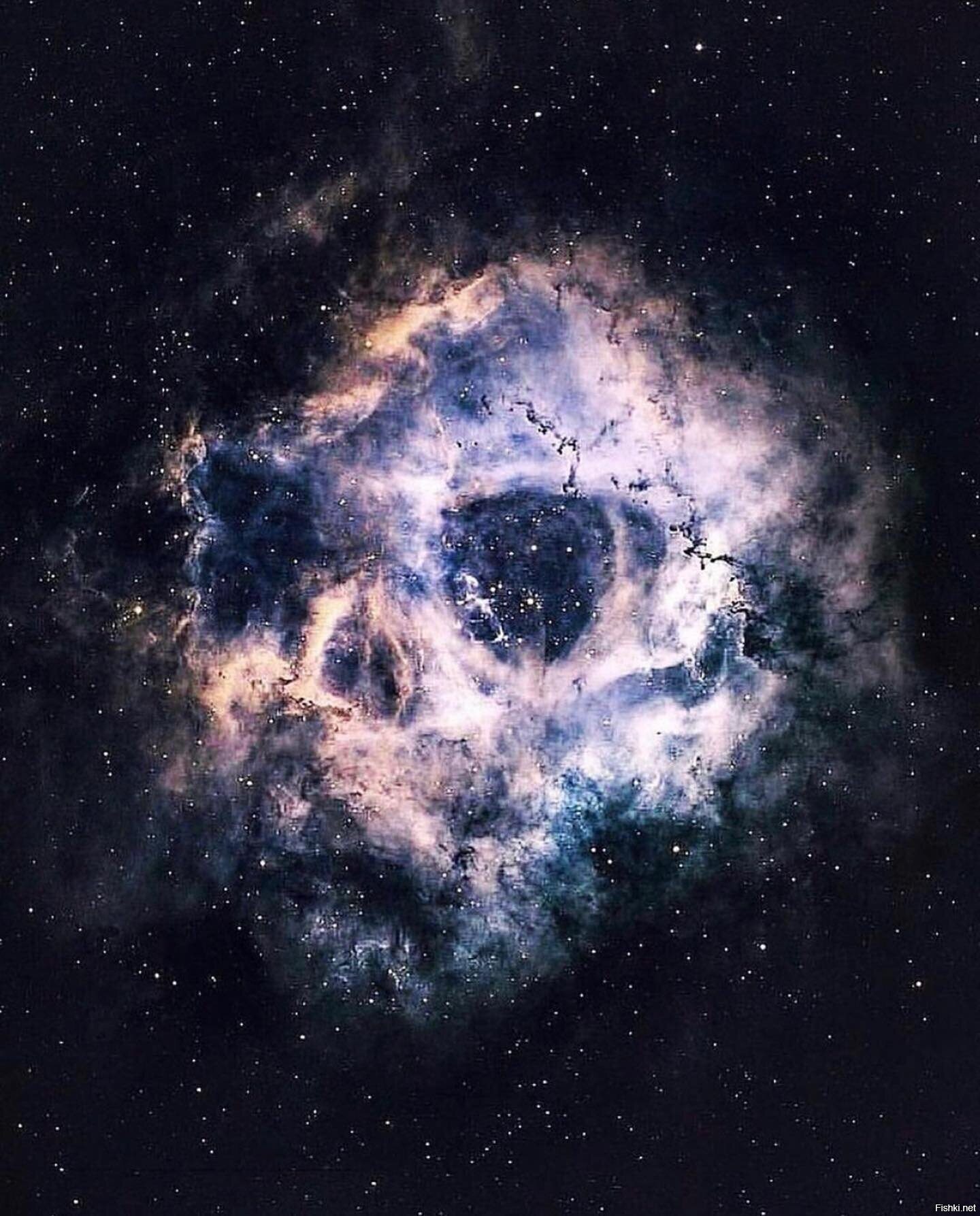 Туманность NGC 2237, или "Череп"