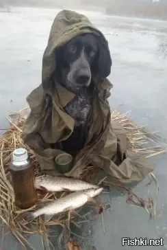 -Мне бы лучше на охоту