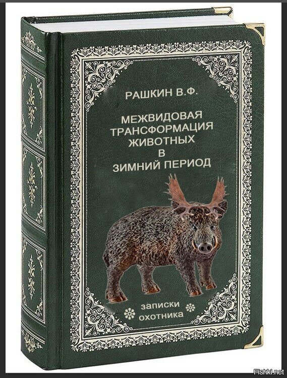 Бестселлер