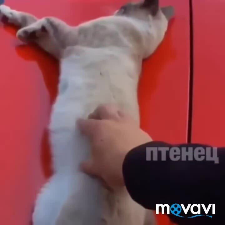 Замлел  на вахте