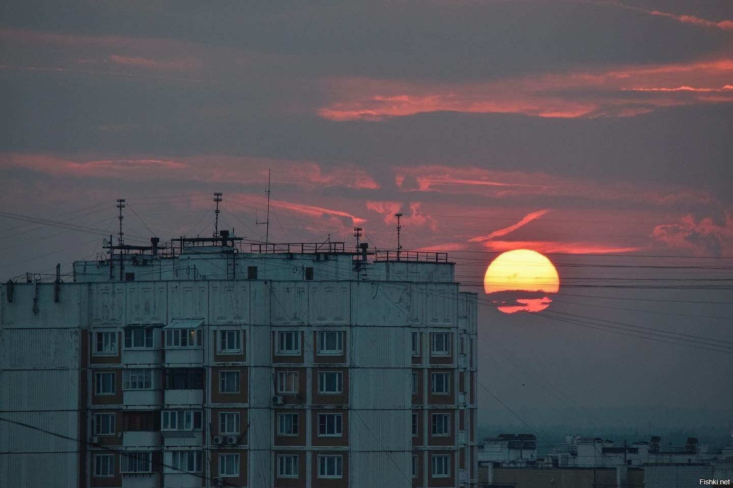 Солянка