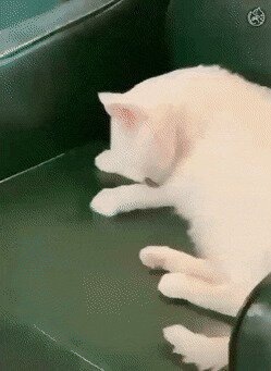 -это не твоё