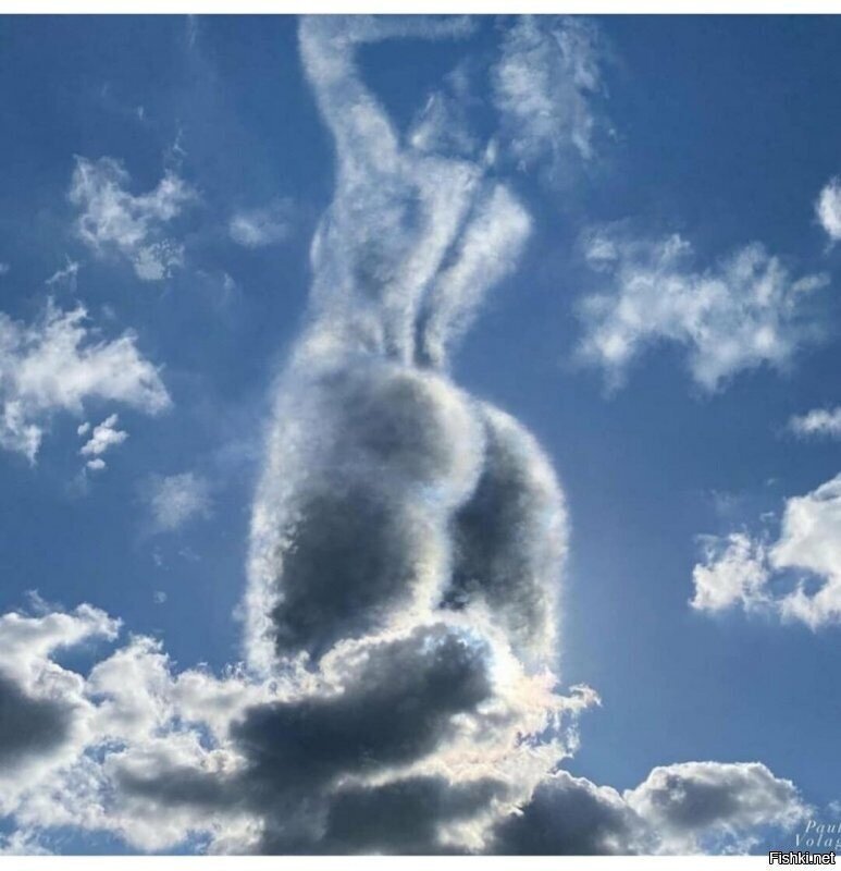 lucy in the sky with diamonds